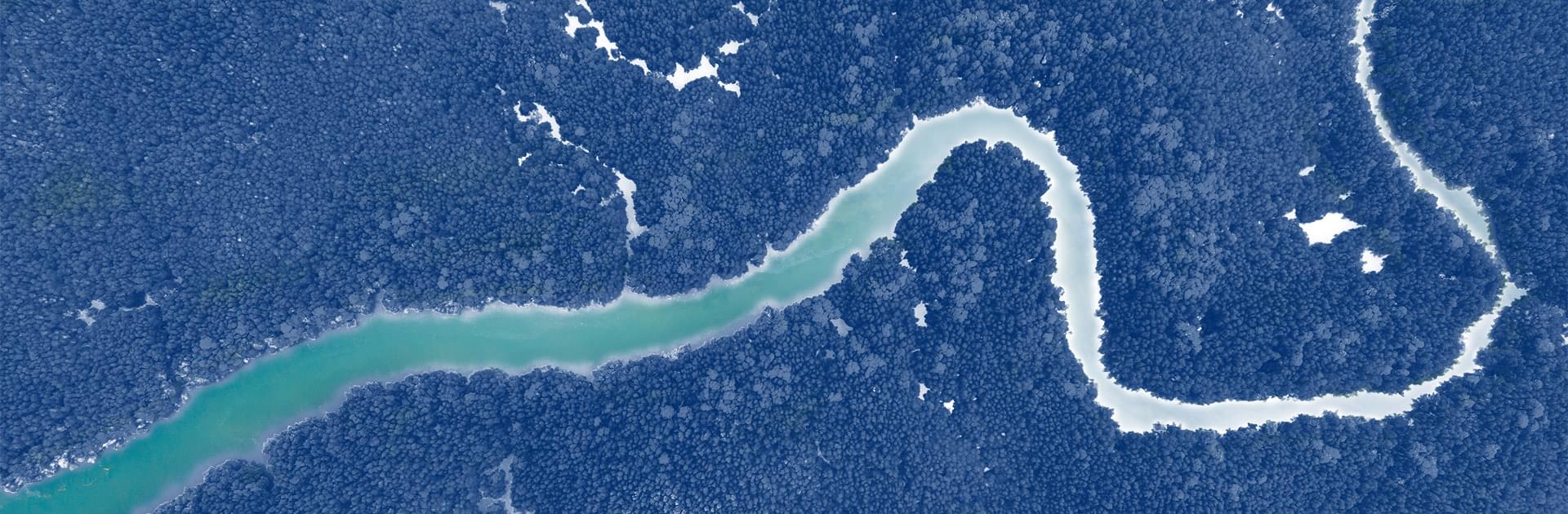 Services Ia Global Capital